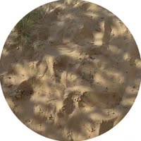 video.mp4