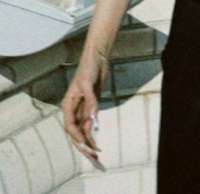 IMG4065.jpeg