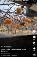 A984D902-EE9A-43B4-90F1-C9C7483582B9.jpeg