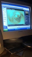 11a4a95dd3d07f2fe105c04637e8f054.mp4