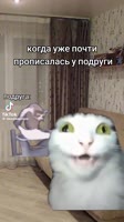 1752000809726.mp4