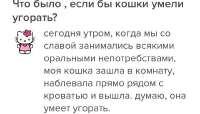 GU5vPkAiao7Z1TqH8Sq-wppGB9bcb8RmVWleuBPVB0XQQNYrbrG1Nak-6egA1YBVEA.jpg