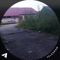 17528635768360.mp4