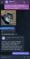 Screenshot20250729084558Telegram.jpg