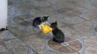 IMG8383.jpeg