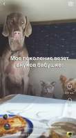 IMG1929.jpeg