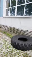 VID20250806123829573.mp4