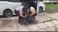 VID20250807214119797.mp4.mov