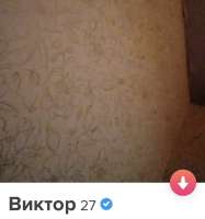 IMG5081.jpeg