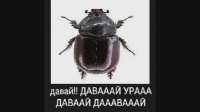 i.webp