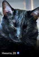 IMG3062.jpeg