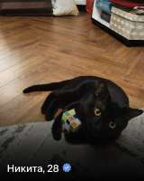 IMG3063.jpeg