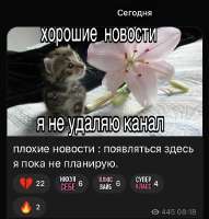 IMG4173.jpeg