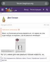 IMG4564.jpeg