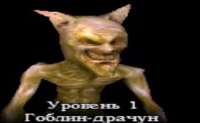 17527929533510.png