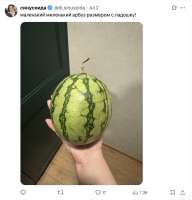 Снимок экрана 2025-07-24 в 22.01.46.png