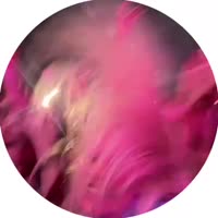 -6165344329531000852.mp4