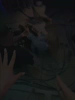 5968732763277541831.mp4