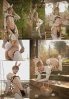 17176185591610.webp
