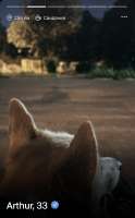 IMG6109.jpeg