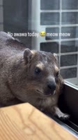 SaveClip.AppAQNhy6ID0nWR1michi6K3kSHU6ntsEj4tRWNORoPCpIIm9tK0qLa9VBUJpW-TJMeqhF1woTyfzBVLfahBeIXbvjCJOr1GraVhyCwcP0.mp4