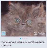 IMG5319.jpeg