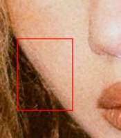 IMG215.jpg