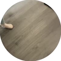video.mp4