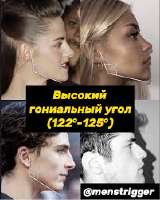 images (4).jpeg