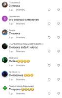 Screenshot20250804121042TikTok.jpg
