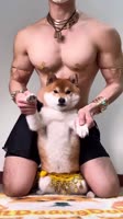 Video-724.mp4