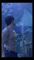Video-883.mp4