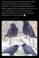 1756035738908.jpg