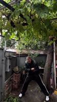 qvl543-KKyEiwDA2r2ynHTJNUIN0w.mp4