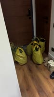 -3784687418763209035.mp4