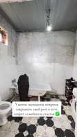 risalatshapieva2025-05-02-14-03-241746183804950.mp4