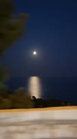 VID20250809153429281.mp4