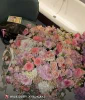 IMG5408.jpeg