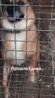 AQPb4w8qgLhkqgTQmELkNTWf3ecGLeG24OglrWleiQabFCvSORepcMyw7p3dzQctKn5jIVY-UInm7LMYO5amCxTT1khETLN.mp4