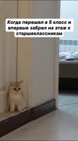 8749760711401.mp4