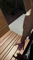 76531112.mp4