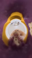 SaveClip.AppAQPCF0kfUKAYITFGuYQA4N-hIfsV9GyUIDRrJoc2HBC4I5-1TkGuLSQSoUnoRLzSGP4N8-Y4YAtOtp0BLXDRqz-U19mZBVMbUEdFpk.mp4