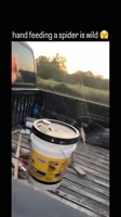 1755927166430.mp4