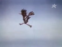 влюбчивая ворона.mp4