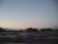 Pink and blue.mp4