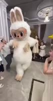 17565472002181.mp4