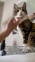 6372828280983.mp4