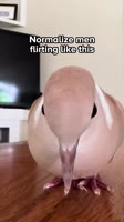 Nature has so much to teach us.mp4