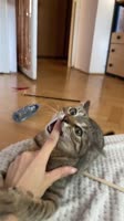 @incepcja-020925-0904.mp4