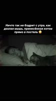 8696445536777.mp4